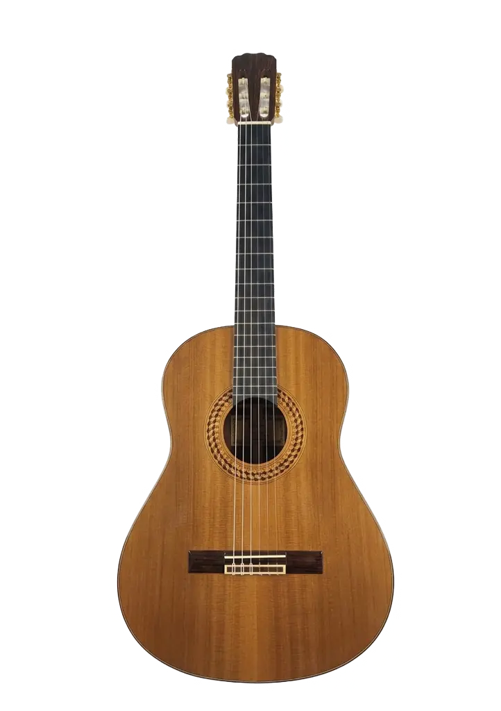 Guitarra española AF guitars Classic Pro
